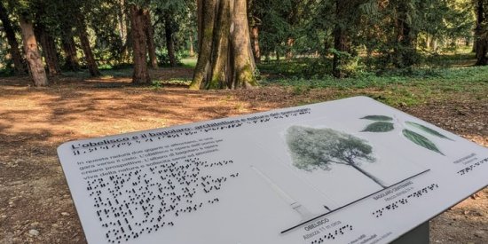 Mappe accessibili – Villa Ghirlanda 6