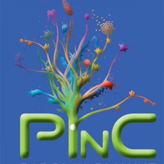 PinC2010 – 11