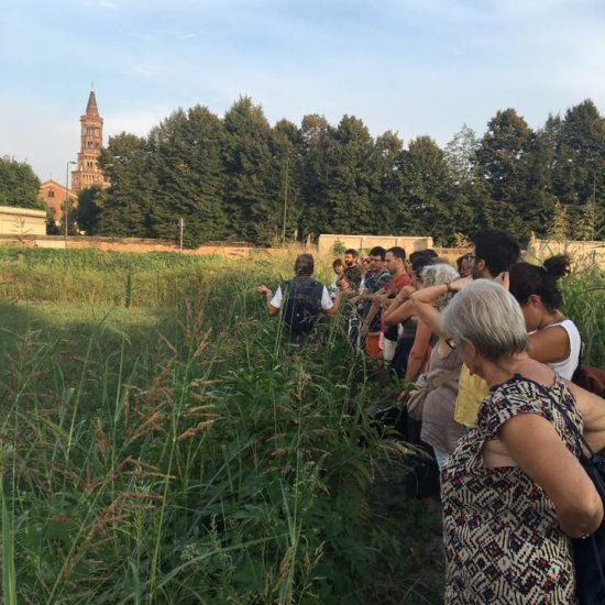 Festival Tra Cascine e Abbazie 2